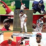 Various Brands Detroit Tigers Dmitri Young 20 Trading Card Set