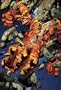 Ultimate Fantastic Four, Vol. 4: Inhuman