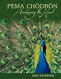Pema Chodron 2010 Datebook: Awakening the Heart