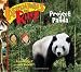 Project Panda (Adventures Of Riley)