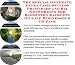 Book The Special Generate Extra Cash, Success Principles and Biz Networking for Badminton Racquets On-line Businesses 3 CD Pack