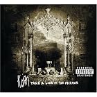 Click here to buy Take a Look in the Mirror by  Korn .