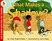 Books : What Makes a Shadow? (Let's-Read-and-Find-Out Science, Stage 1)
