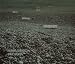 Books : Robert Smithson: Slideworks