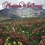 Mountain Wildflowers 2004 Calendar
