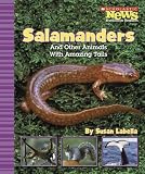 Salamanders and Other Animals with Amazing Tails (Scholastic News Nonfiction Readers: Animal Survivors)