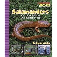 Salamanders and Other Animals with Amazing Tails (Scholastic News Nonfiction Readers: Animal Survivors)