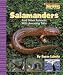 Salamanders And Other Animals With Amazing Tails