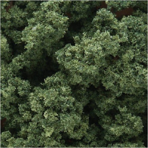 Clump Foliage, Medium Green 3qt