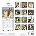 Collie Calendar 2017 - Dog Breed Calendars - 2016 - 2017 wall calendars - 16 Month by Avonside