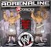 Search : WWE Wrestling Adrenaline Series 26 Action Figure 2-Pack Highlanders (Robbie & Rory McAllister)