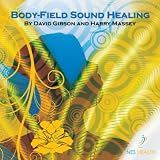 David Gibson & Harry Massey Body-Field Sound Healing