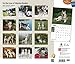 For the Love of Siberian Huskies 18-Month 2015 Calendar