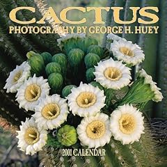 Cactus 2001 Calendar