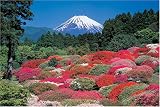 1000ピース つつじ咲く箱根より富士 1000-300の画像