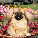 Pekingese 2001 Calendar