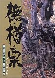 ブナ・楢・栗 画像
