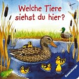 Welche Tiere siehst du hier? - Anne Ebert, Andrea Erne