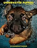 Underwater Puppies 2015 Engagement Calendar