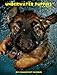 Underwater Puppies 2015 Engagement Calendar