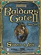 Baldur's Gate II: Schatten von Amn