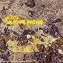 Bilious Paths