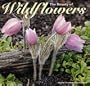 Wildflowers 2003 Calendar