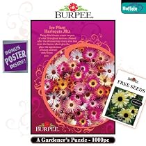 Buffalo Games Burpee: Ice Plant Harlequin Mix