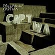 Captiva ~ Falling Up