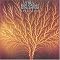 Necessary Progressive Rock