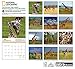 National Geographic Giraffes 2017 Wall Calendar