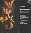 Bach: Adventskantaten
