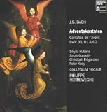 Bach: Adventskantaten