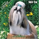 Shih Tzu 2007 Wall Calendar