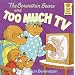 The Berenstain Bears and Too Much TV (First Time Books(R))