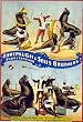 Circus Poster Marvelous Educated Sea Lions Photograph - Beautiful 16"x20" Photographic Print from the Library of Congress Collection