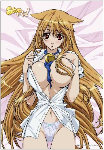 Asobi ni Ikuyo! Eris 3D Solid Cushion-image