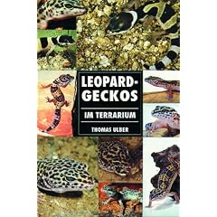 Leopardgeckos im Terrarium