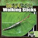 Walking Sticks (Bugs!)