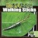 Book Walking Sticks (Bugs!)