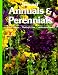 Book Annuals & Perennials (Gardening & Landscaping)
