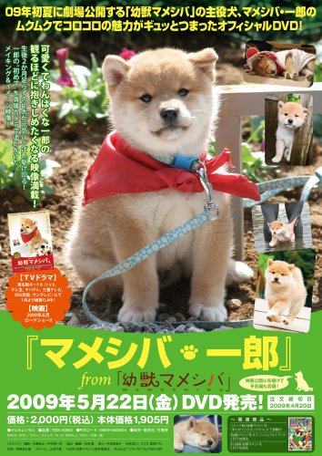 Cover image : 『マメシバ・一郎』 from 「幼獣マメシバ」 [DVD]