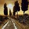 Thoms Off For A Stroll Canvas Giclee(16 x 16")