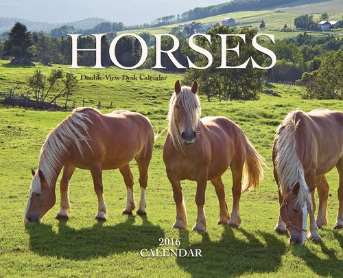 Horses 2016 Double-View Easel Wyman