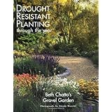 drought resistant planting