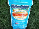 Boulevard Patch- Seed to Repair Salt Damaged Grass