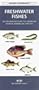 Freshwater Fishes: An Introduction to Familiar North Americn Species (Pocket Naturalist)