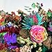 Darkstar, News from Nowhere [Analog], 発売中