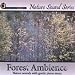 Forest Ambience (With Relaxing Music)
