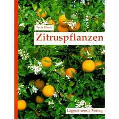 Zitruspflanzen